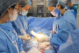 Cụ ông 71 tuổi bị ngã chấn thương khi trèo cây cắt cành tránh bão