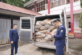 Cao Bằng phát hiện hơn 2,2 tấn lá cây thuốc lá khô không rõ nguồn gốc