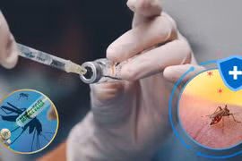 Tăng cường phòng, chống bệnh sốt xuất huyết