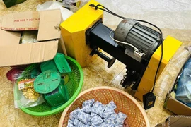 Một phụ nữ ở Bắc Giang bị khởi tố vì sản xuất thực phẩm giả
