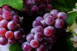 Vì sao nho được xem là 'siêu thực phẩm'