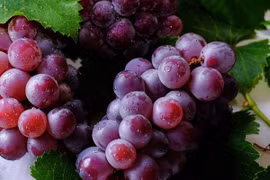 Vì sao nho được xem là 'siêu thực phẩm'
