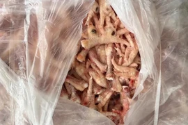 Thu giữ hơn 1,5 tấn chân gà đông lạnh tại một kho ở Lào Cai