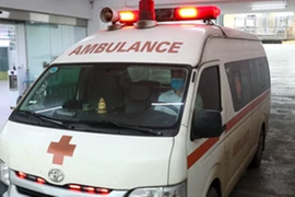 Giòi ký sinh trong khối u trên mặt cụ bà 88 tuổi 