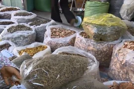 TP HCM xử phạt nhiều hộ kinh doanh cửa hàng dược liệu 