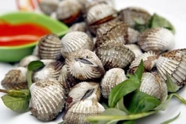 Lợi ích của sò huyết