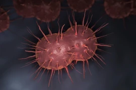 Bệnh lây truyền qua đường tình dục ảnh hưởng đến thai nhi thế nào?