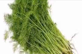 Loại rau gia vị là thuốc quý, tốt cho sức khỏe