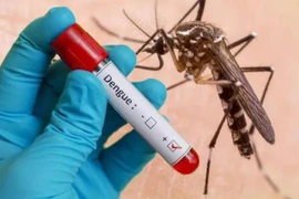 23.000 ca sốt xuất huyết, Bộ Y tế cảnh báo khẩn