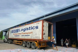 Nam Định phát hiện hơn 20 tấn nội tạng động vật bốc mùi