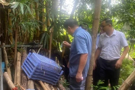 Hà Nội ghi nhận 100 ca sốt xuất huyết trong tuần qua