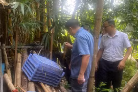 Hà Nội ghi nhận 100 ca sốt xuất huyết trong tuần qua