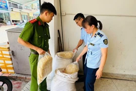 Phát hiện, thu giữ 100 kg ruốc gà không rõ nguồn gốc ở Bãi Cháy