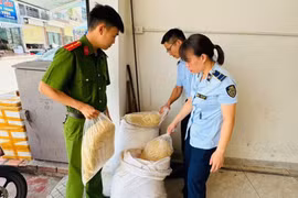 Phát hiện, thu giữ 100 kg ruốc gà không rõ nguồn gốc ở Bãi Cháy