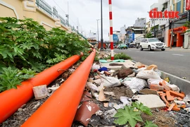 Tuyến đường ở TP HCM ngổn ngang rác thải sau 4 tháng thông xe