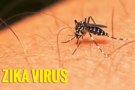 Virus Zika bùng phát tại Thái Lan 