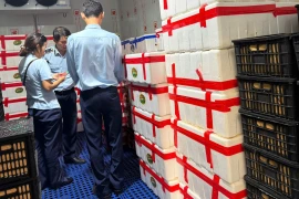 Gia Lai tạm giữ hơn 2,5 tấn quả tươi không rõ nguồn gốc