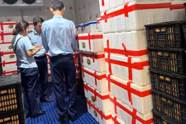 Gia Lai tạm giữ hơn 2,5 tấn quả tươi không rõ nguồn gốc