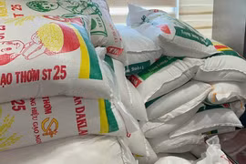 Chuyên gia khẳng định không có gạo giả mà là giả thương hiệu