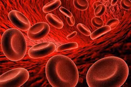 Dấu hiệu cảnh báo thiếu máu 