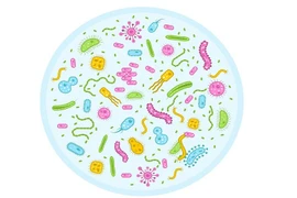 Cảnh báo dấu hiệu nhiễm trùng đường ruột ở trẻ nhỏ