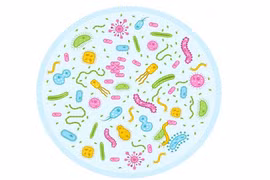 Cảnh báo dấu hiệu nhiễm trùng đường ruột ở trẻ nhỏ