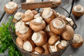 7 tác dụng của nấm hương