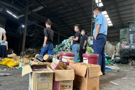 Hải Dương tiêu hủy hàng tấn thực phẩm bẩn