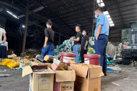 Hải Dương tiêu hủy hàng tấn thực phẩm bẩn