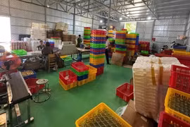 Triệt phá đường dây sản xuất hàng ngàn hũ yến giả không có 'chất yến'