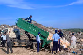 Phú Yên tiêu hủy 1 tấn chả chay không rõ xuất xứ