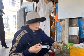 Xử phạt cơ sở bơm tạp chất vào tôm hùm chết để bán