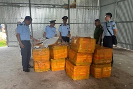 Quảng Ninh phát hiện hơn 1 tấn trứng gà non không xuất xứ