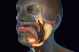 Phát hiện tuyến nước bọt bí ẩn trong cơ thể con người