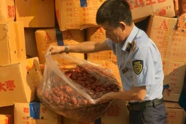Hà Nội phát hiện, thu giữ hơn 4 tấn táo đỏ nhập lậu