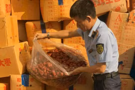 Hà Nội phát hiện, thu giữ hơn 4 tấn táo đỏ nhập lậu