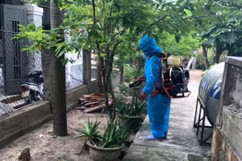 Gia tăng ca mắc liên cầu lợn, ngành Y tế Huế khuyến cáo