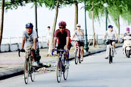 Đạp xe giúp tăng cường sức khỏe tim mạch, não bộ