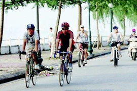 Đạp xe giúp tăng cường sức khỏe tim mạch, não bộ