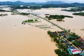 Bộ Y tế yêu cầu tăng cường phòng, chống dịch bệnh ứng phó với thiên tai