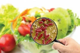 Lưu ý ăn uống để tránh ngộ độc khi đi du lịch trong mùa hè 