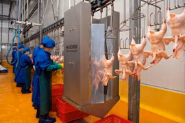 Nhiều biện pháp siết chặt an toàn thực phẩm trước Tết tại Hà Nội