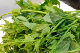 Lợi ích không ngờ từ rau lang cho người cao huyết áp