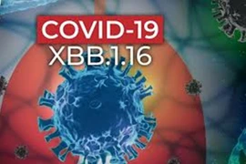 Dấu hiệu mắc Covid-19 do biến thể XBB.1.16