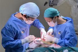 Nam sinh đau đầu, chóng mặt thường xuyên do u vùng tuyến tùng hiếm gặp