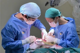 Nam sinh đau đầu, chóng mặt thường xuyên do u vùng tuyến tùng hiếm gặp