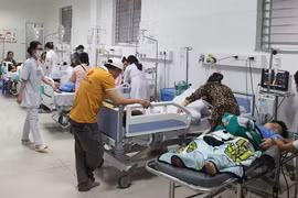 Bộ Y tế yêu cầu tăng cường phòng ngừa ngộ độc thực phẩm dịp Tết, lễ hội 2026