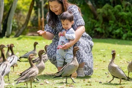 Khám phá vẻ đẹp nguyên sơ của vùng đất Tây Australia