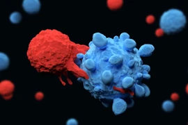 Liệu pháp tế bào CAR-T, thử nghiệm mới trong điều trị bệnh tự miễn