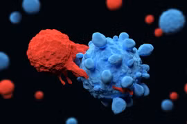 Liệu pháp tế bào CAR-T, thử nghiệm mới trong điều trị bệnh tự miễn